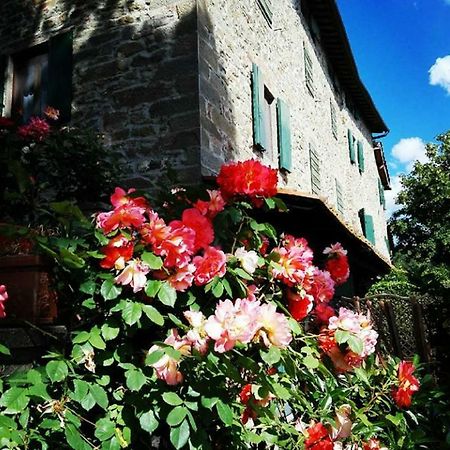 Podere I Rovai-Apt Il Rifugio- In The Heart Of Tuscany Реджелло Экстерьер фото